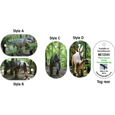 Dinosaurs Trackable Tags (by NE Geocaching Supplies)